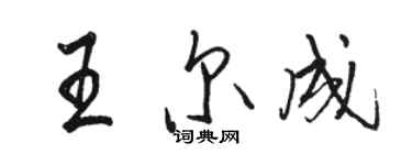 駱恆光王爾成行書個性簽名怎么寫