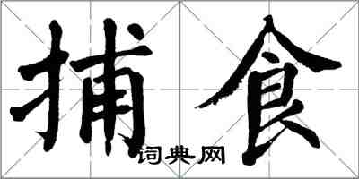 翁闓運捕食楷書怎么寫