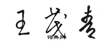 駱恆光王茂青草書個性簽名怎么寫