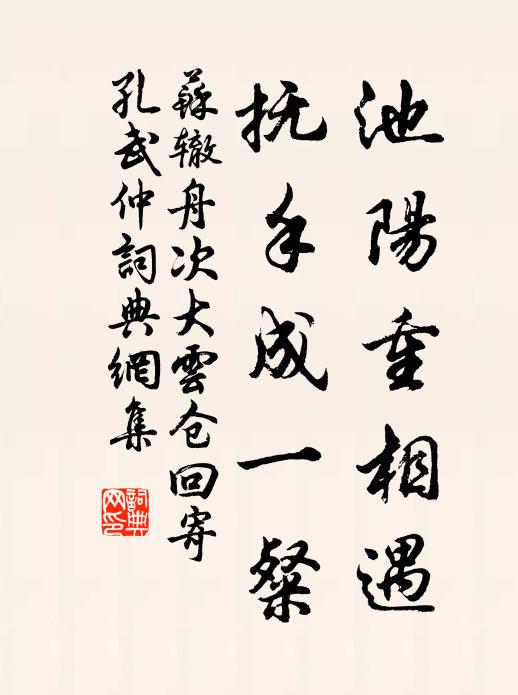 蘇轍池陽重相遇,撫手成一粲書法作品欣賞