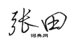 駱恆光張田行書個性簽名怎么寫