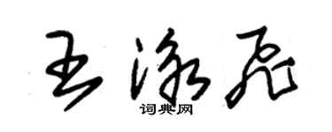 朱錫榮王泳飛草書個性簽名怎么寫