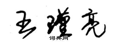 朱錫榮王瑾亮草書個性簽名怎么寫