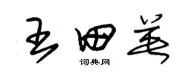 朱錫榮王田英草書個性簽名怎么寫