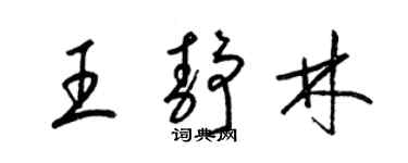 梁錦英王靜林草書個性簽名怎么寫