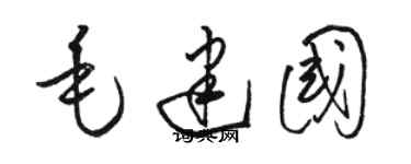 駱恆光毛建國草書個性簽名怎么寫