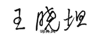 駱恆光王曉坦草書個性簽名怎么寫