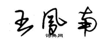 朱錫榮王鳳南草書個性簽名怎么寫