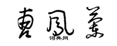 曾慶福曹鳳蘭草書個性簽名怎么寫