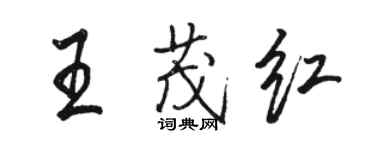 駱恆光王茂紅行書個性簽名怎么寫