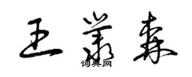 曾慶福王叢森草書個性簽名怎么寫