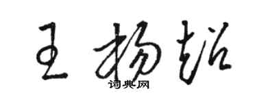 駱恆光王楊超草書個性簽名怎么寫