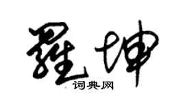 朱錫榮羅坤草書個性簽名怎么寫