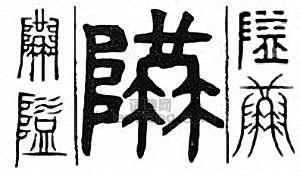 金石大字典的篆刻印章隘