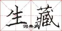 駱恆光生藏楷書怎么寫