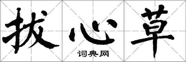 翁闓運拔心草楷書怎么寫