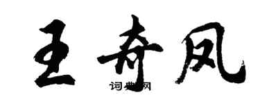 胡問遂王奇鳳行書個性簽名怎么寫