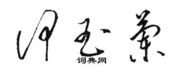 駱恆光何玉蘭草書個性簽名怎么寫