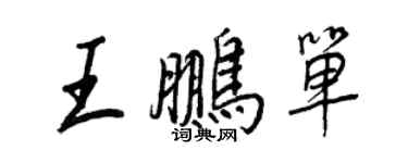 王正良王鵬單行書個性簽名怎么寫
