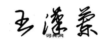 朱錫榮王漢蘭草書個性簽名怎么寫