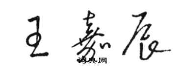 駱恆光王嘉辰草書個性簽名怎么寫