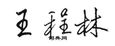 駱恆光王程林行書個性簽名怎么寫