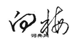 駱恆光向梅草書個性簽名怎么寫