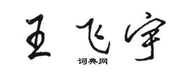 駱恆光王飛宇行書個性簽名怎么寫