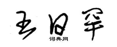 朱錫榮王日罕草書個性簽名怎么寫