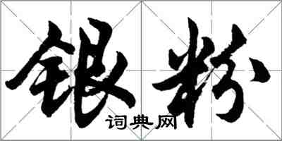 胡問遂銀粉行書怎么寫