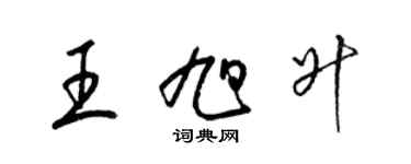 梁錦英王旭升草書個性簽名怎么寫