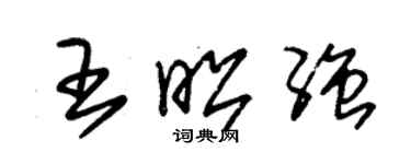 朱錫榮王昭強草書個性簽名怎么寫