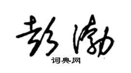 朱錫榮彭渤草書個性簽名怎么寫