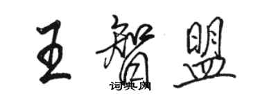 駱恆光王智盟行書個性簽名怎么寫