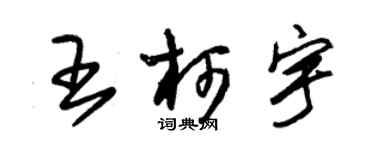 朱錫榮王柯宇草書個性簽名怎么寫