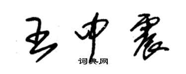 朱錫榮王中震草書個性簽名怎么寫