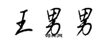 王正良王男男行書個性簽名怎么寫