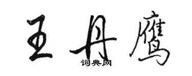 駱恆光王丹鷹行書個性簽名怎么寫