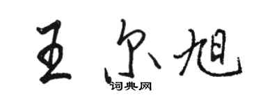 駱恆光王爾旭行書個性簽名怎么寫