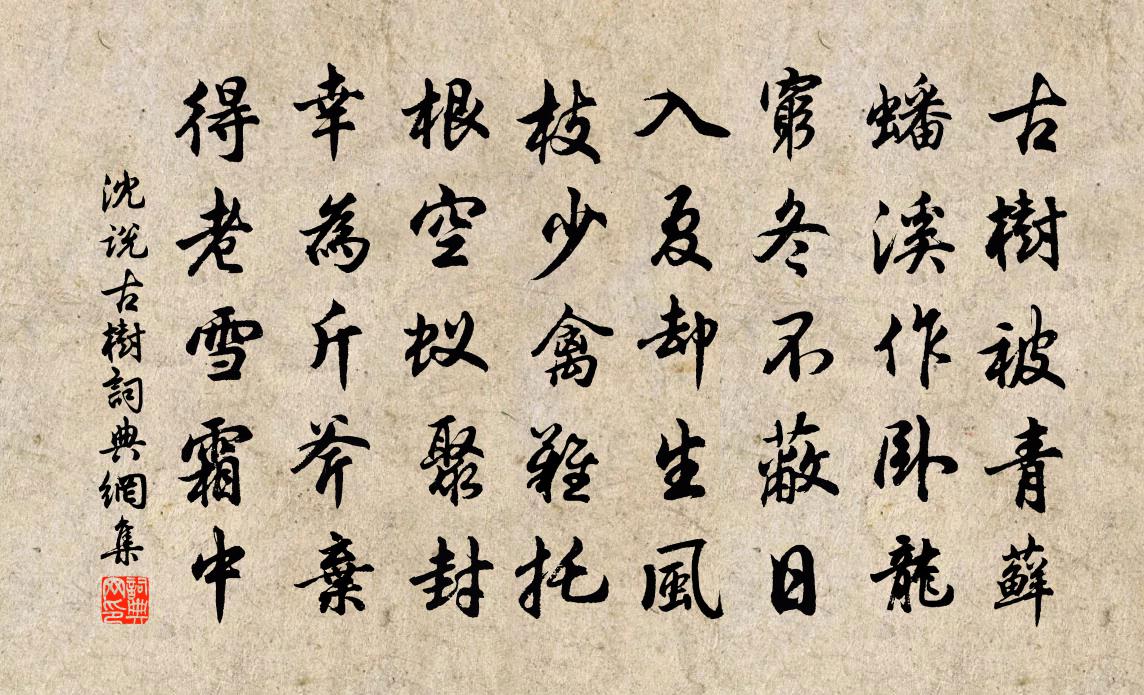 沈說古樹書法作品欣賞