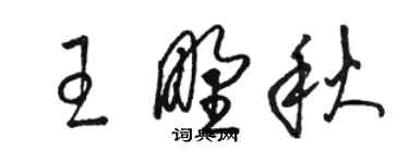 駱恆光王野秋草書個性簽名怎么寫