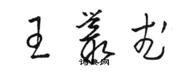 駱恆光王叢武草書個性簽名怎么寫