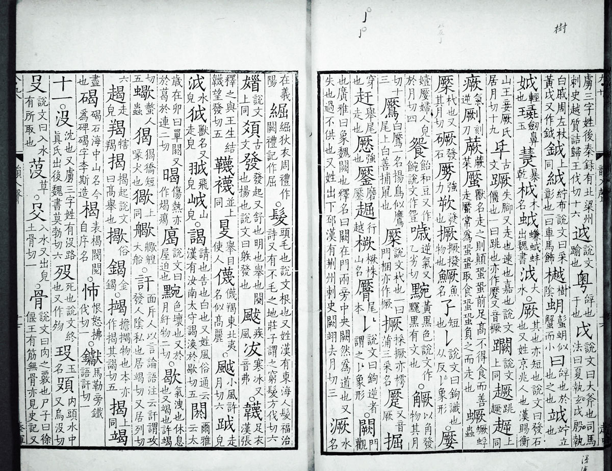 廣韻掃描版第5卷 第19頁