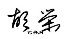 朱錫榮胡榮草書個性簽名怎么寫