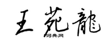 王正良王苑龍行書個性簽名怎么寫