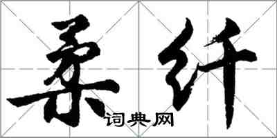 胡問遂柔纖行書怎么寫