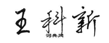 駱恆光王科新行書個性簽名怎么寫
