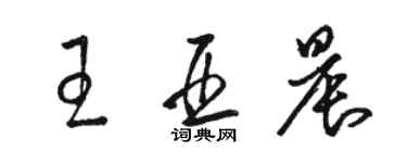 駱恆光王亞晨草書個性簽名怎么寫