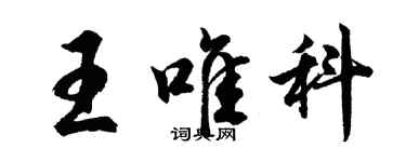 胡問遂王唯科行書個性簽名怎么寫