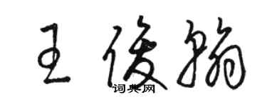 駱恆光王俊翰草書個性簽名怎么寫